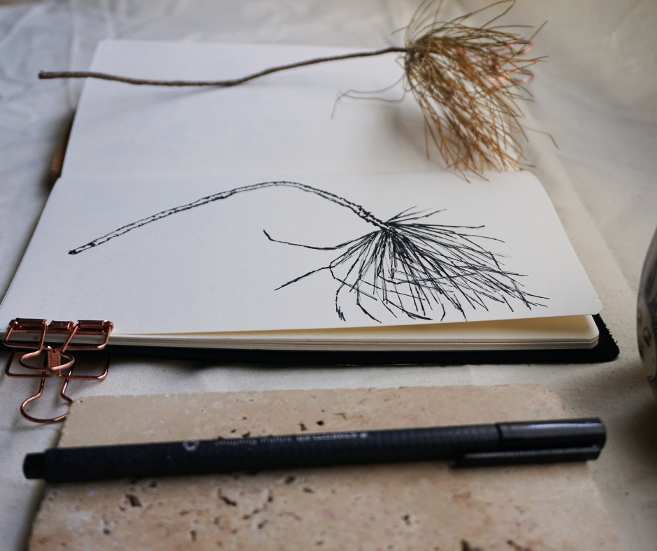 How Simple Line Drawing Can Make Your Sketchbook Practice Feel Easier ...